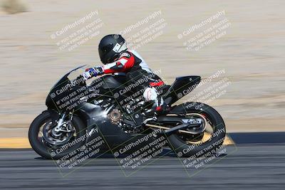 media/Feb-04-2024-SoCal Trackdays (Sun) [[91d6515b1d]]/4-Bowl Backside (11am)/